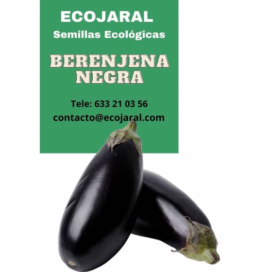 comprar semillas ecológicas de Berenjena Negra