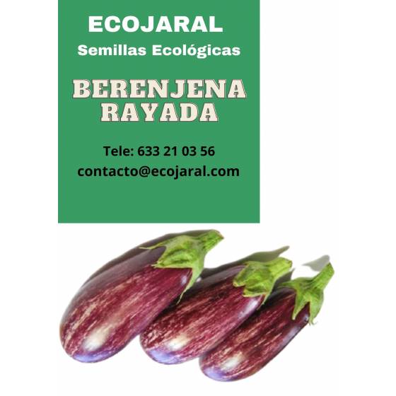 Semillas de Berenjena - Tierra Ketrawe productos para tu huerto