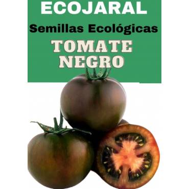 Semillas de Tomate Chato Negro
